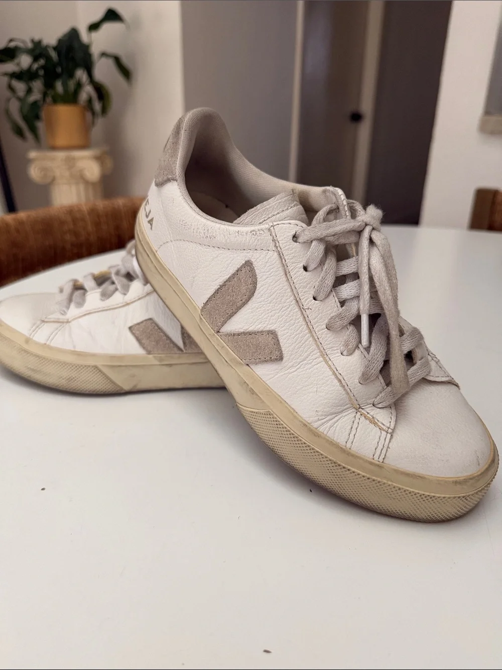 Veja White Leather Sneakers! Size 5!